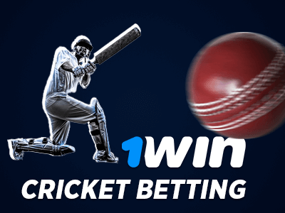 Cricket betting tournaments available at 1win bookie